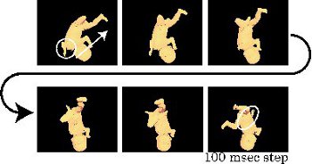 Behavior of the fetal model